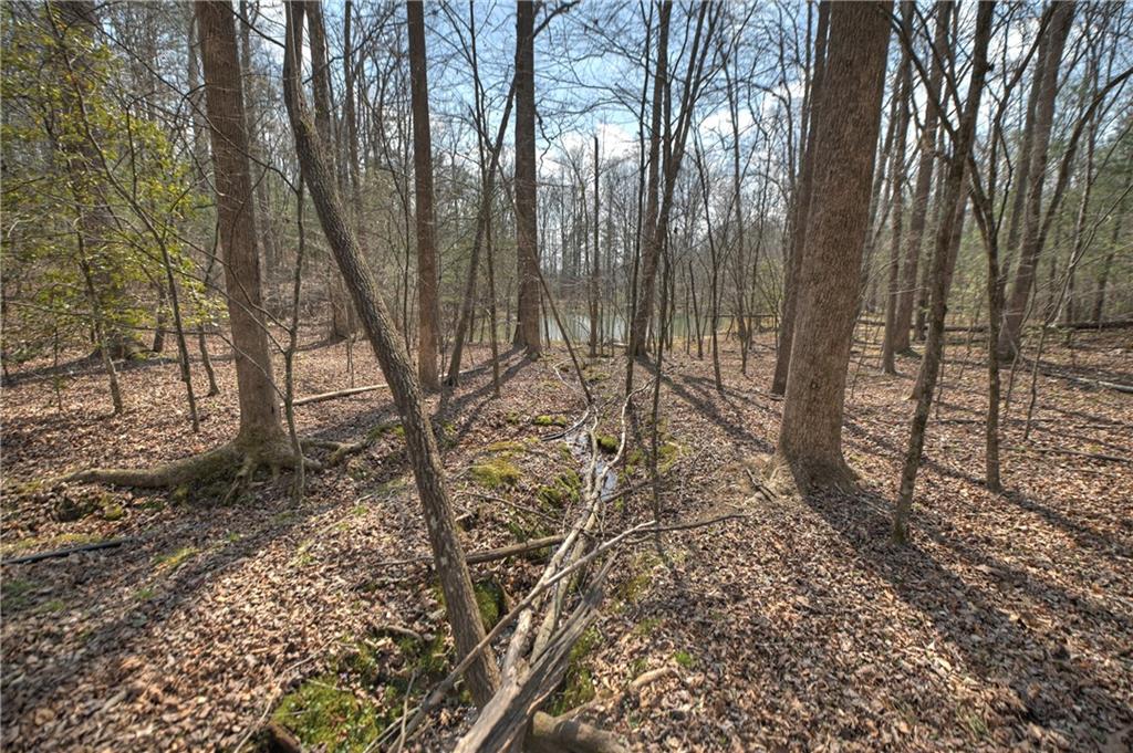 8.52 Ac Mcnelley Road Morganton, GA 30560 - Photo 53 of 59