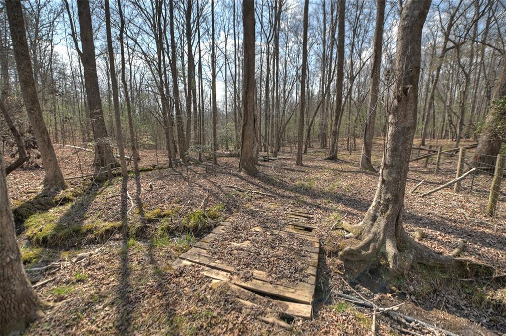 8.52 Ac Mcnelley Road Morganton, GA 30560 - Photo 54 of 59