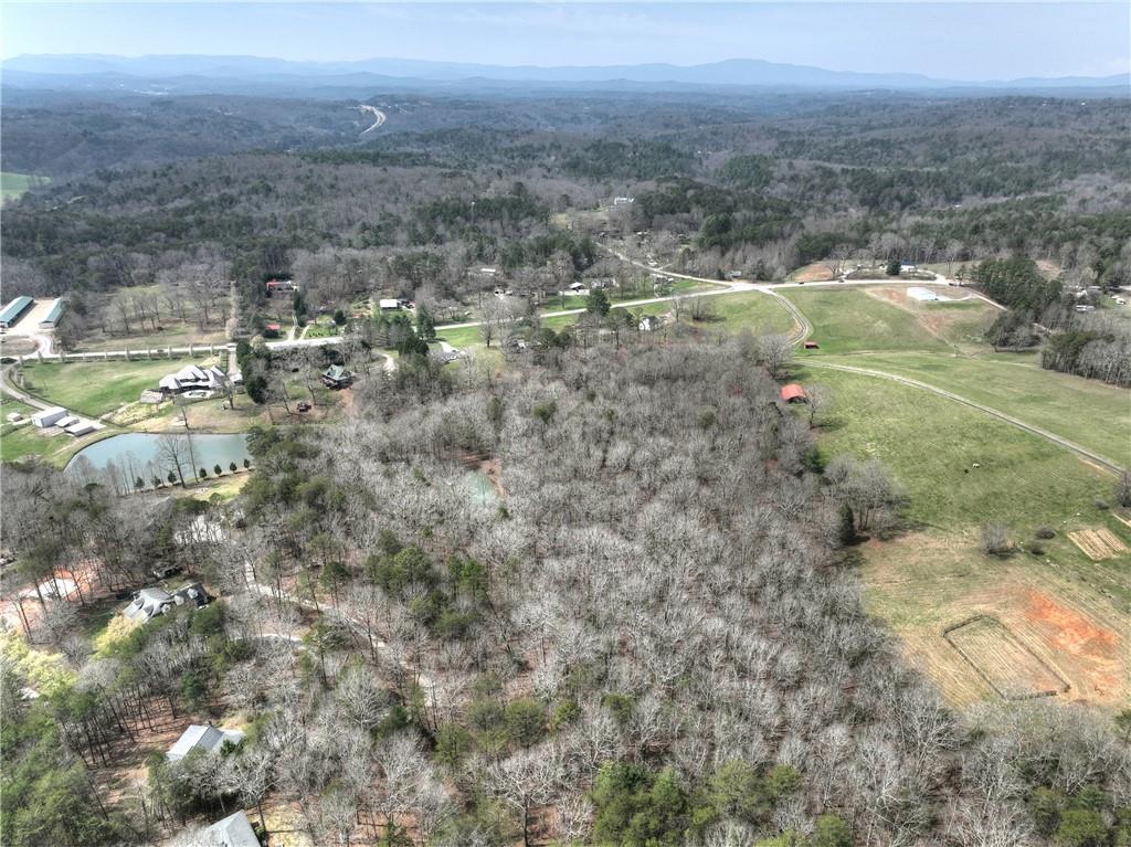 8.52 Ac Mcnelley Road Morganton, GA 30560 - Photo 56 of 59