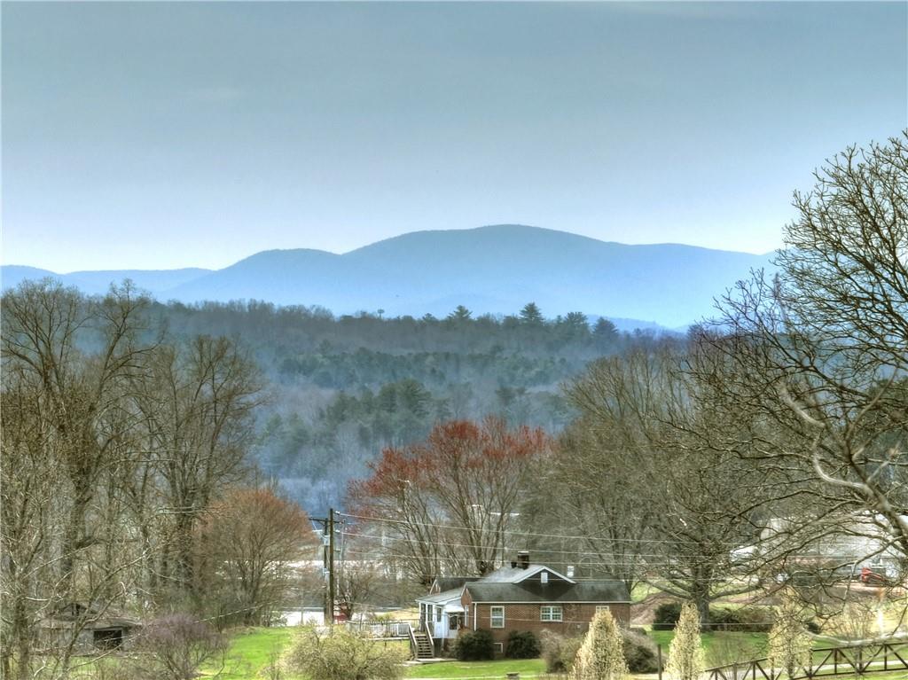 8.52 Ac Mcnelley Road Morganton, GA 30560 - Photo 6 of 59