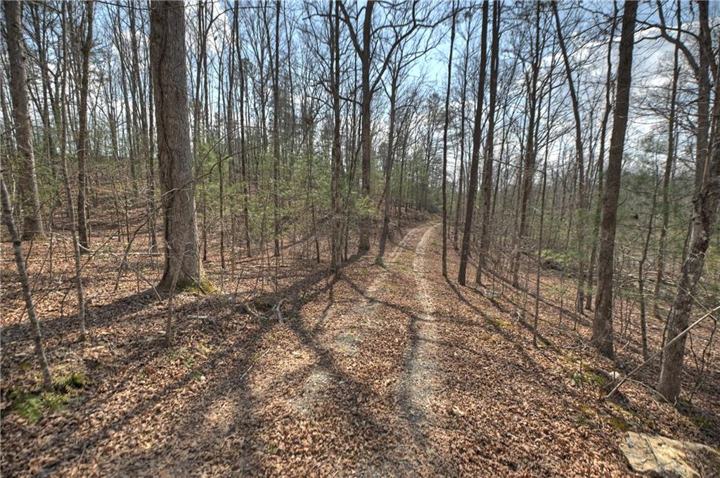 8.52 Ac Mcnelley Road Morganton, GA 30560 - Photo 7 of 59