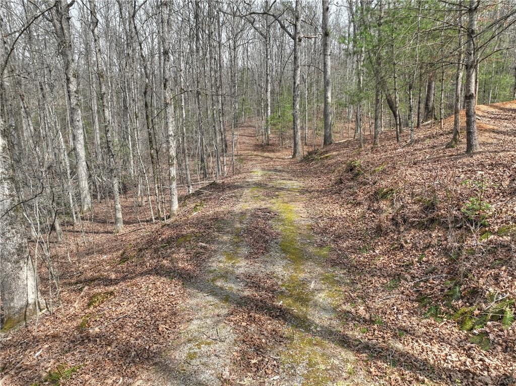 8.52 Ac Mcnelley Road Morganton, GA 30560 - Photo 8 of 59