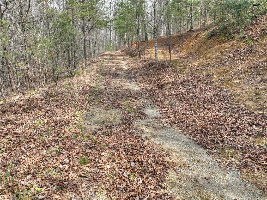 8.52 Ac Mcnelley Road Morganton, GA 30560 - Photo 9 of 59