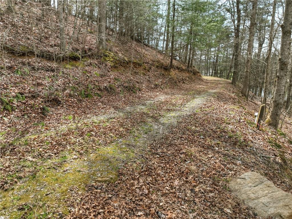 8.52 Ac Mcnelley Road Morganton, GA 30560 - Photo 10 of 59