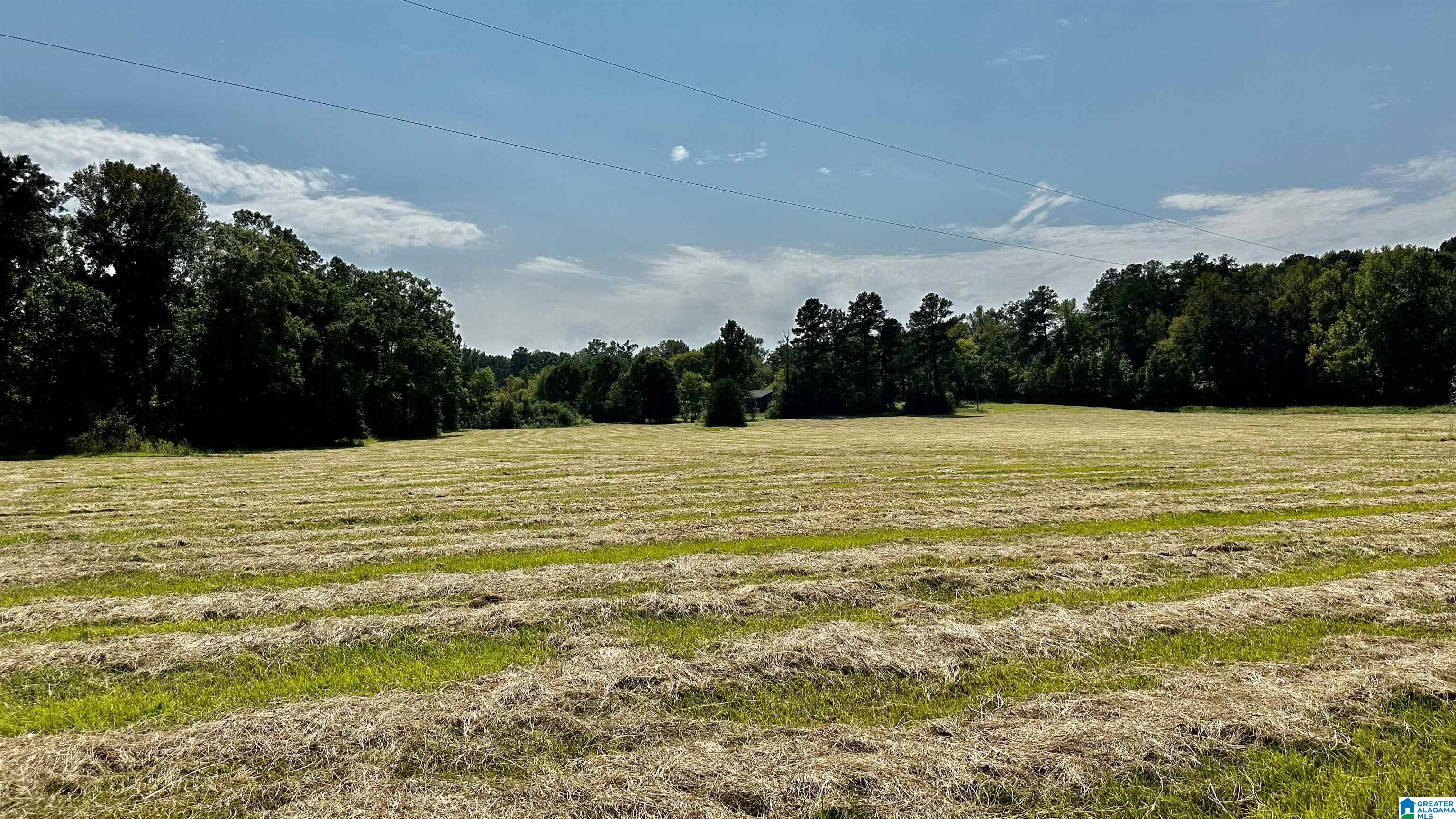 0 Rock School Road Harpersville, AL 35078 - Photo 14 of 15
