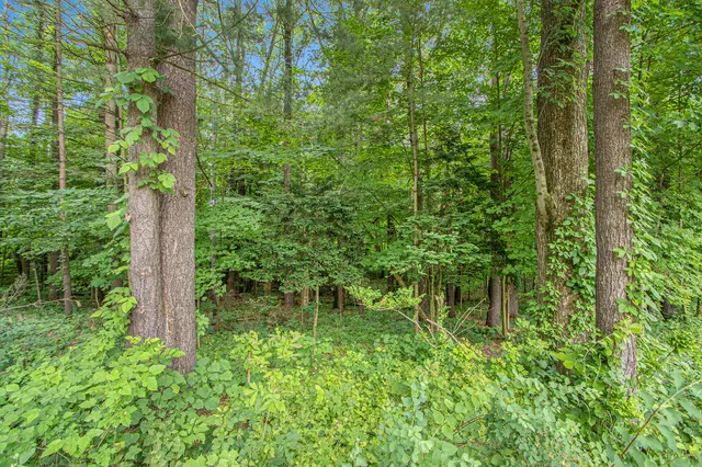 $100,000 | 171 Thomas Street, Allegan, MI 49010