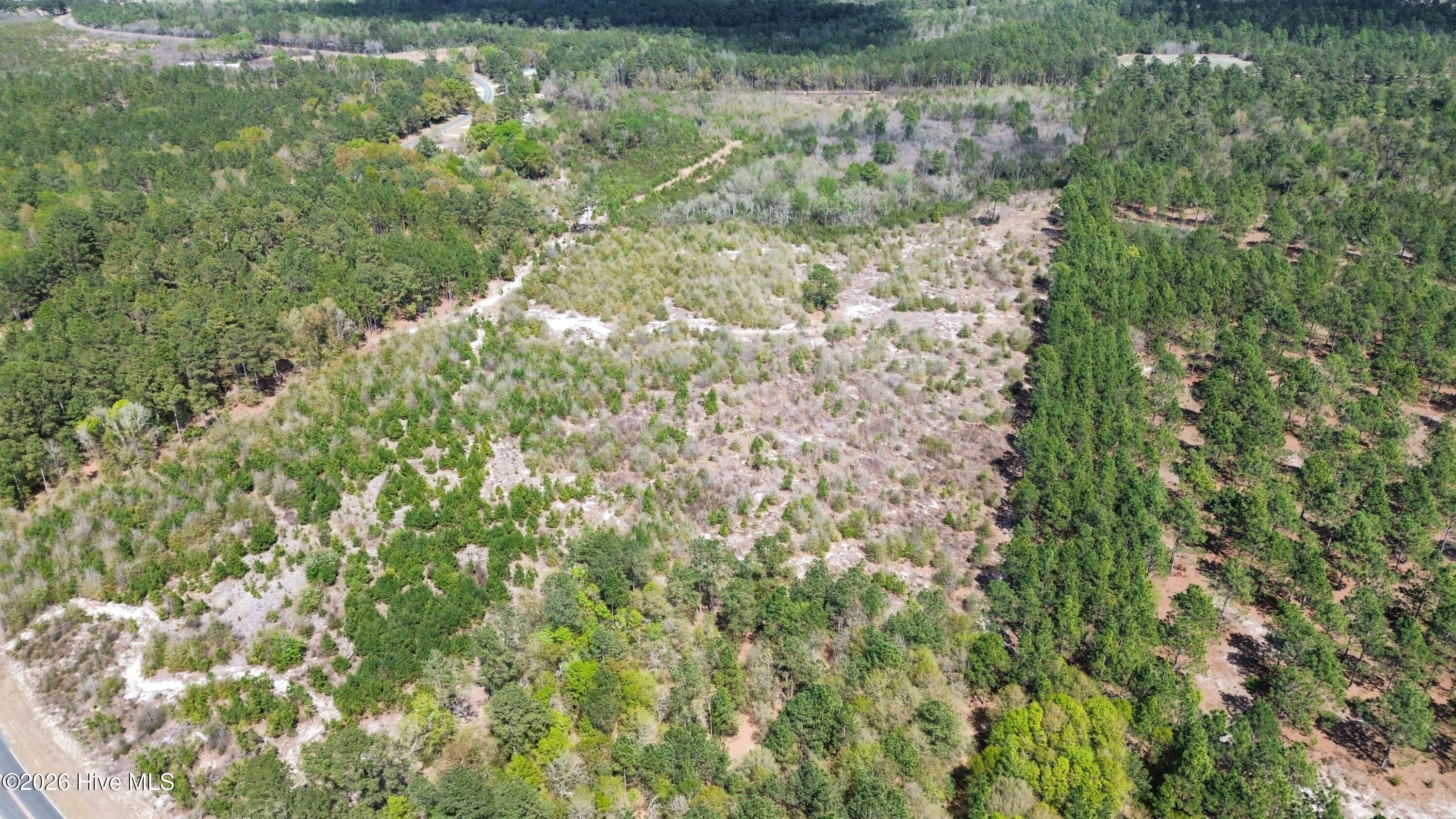 0 Wilbur Pridgen Road Harrells, NC 28444 - Photo 7 of 7 dji_fly_20260401_143120_16_1775095954639