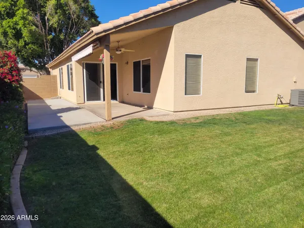 a view of a backyard with plants and large tree