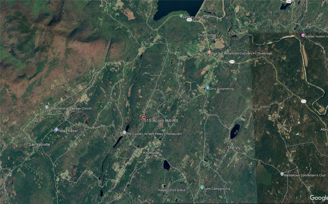 115 Acorn Hill Road Olive, NY 12461 - Photo 8 of 11