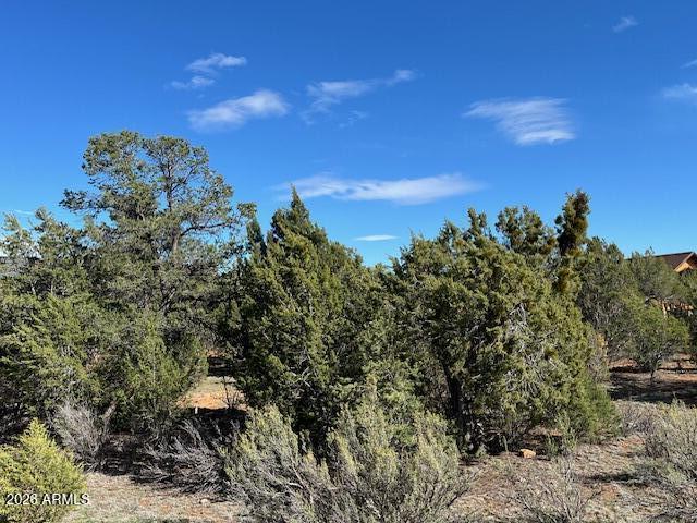 2277 Sunrise Road, Unit 361 Overgaard, AZ 85933 - Photo 3 of 7 a view of a yard