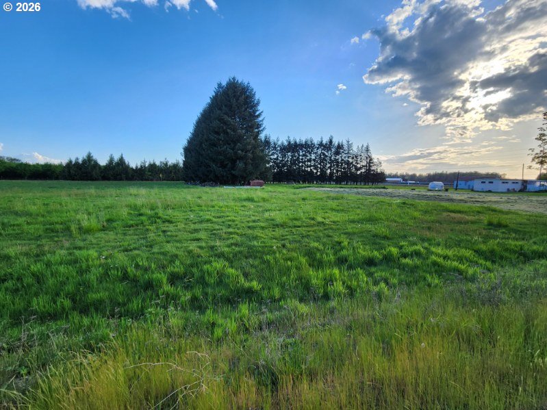 29281 South Old Molalla Road Molalla, OR 97038 - Photo 14 of 19