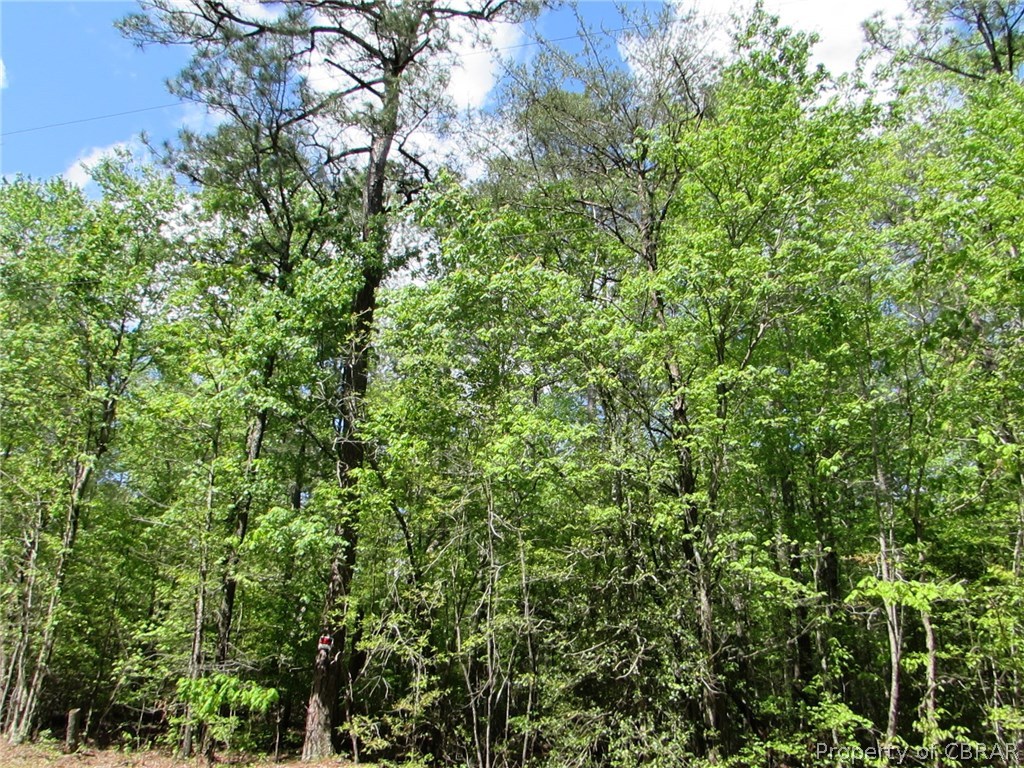 5.67-acres Indian Road Gloucester, VA 23061 - Photo 2 of 6