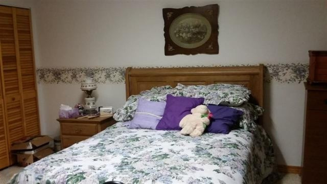 2222 South Tripp Road Osseo, MI 49266 - Photo 9 of 16 201700328-8