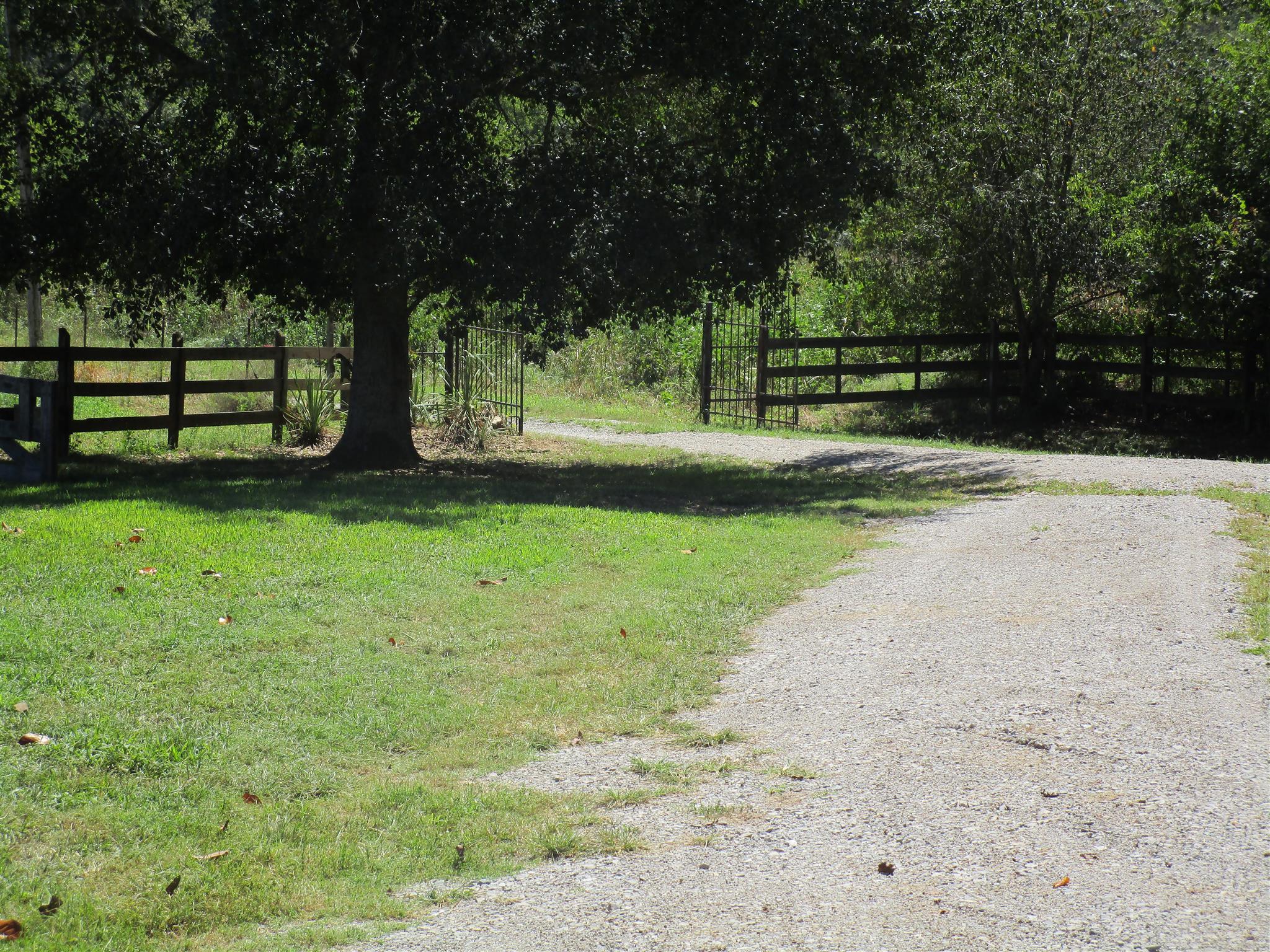 4020 Stella Road Prospect, TN 38477 - Photo 23 of 27 a view of a park with large trees
