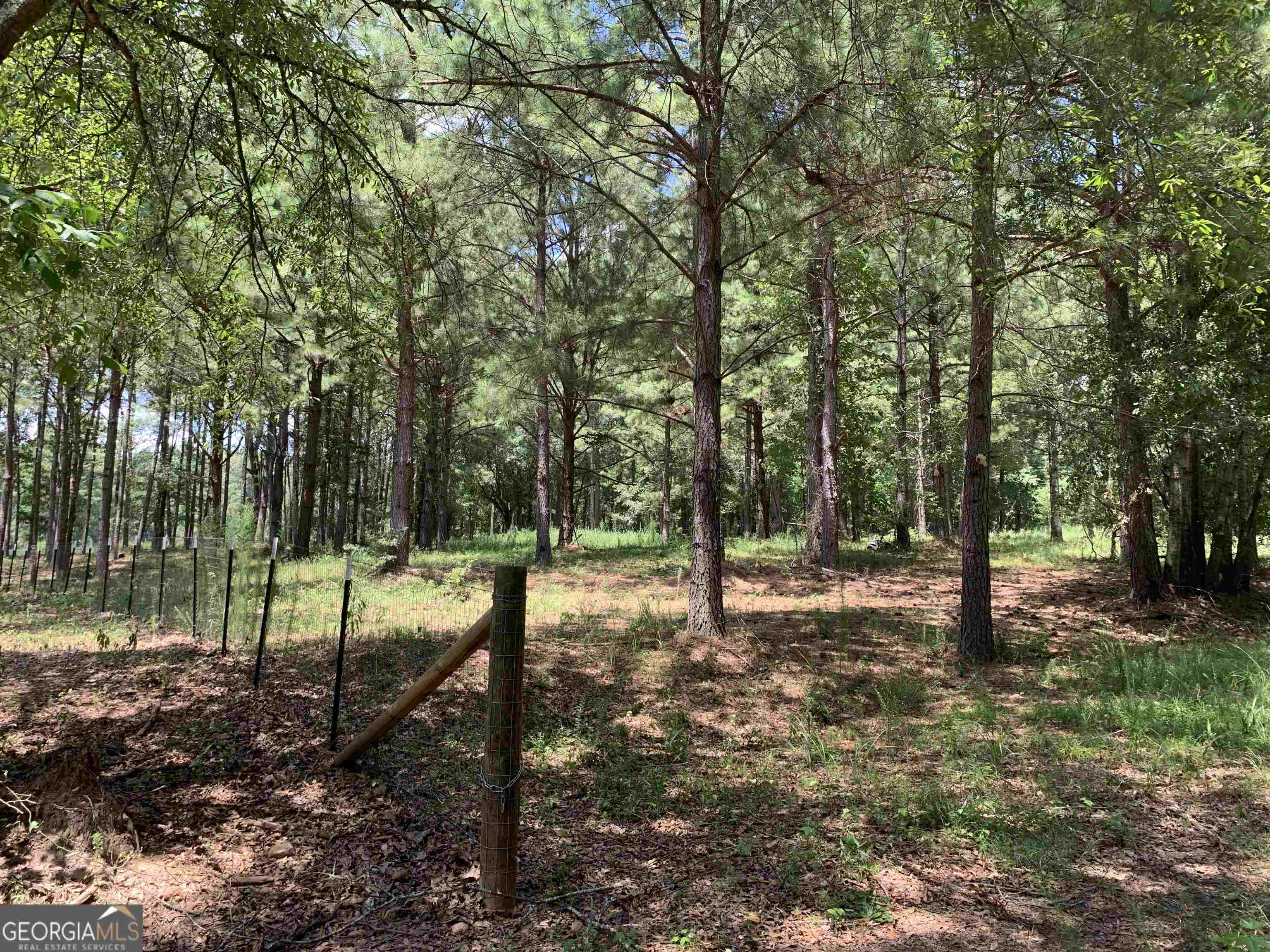 40 Anderson Road Griffin, GA 30223 - Photo 5 of 6 a view of a forest with trees