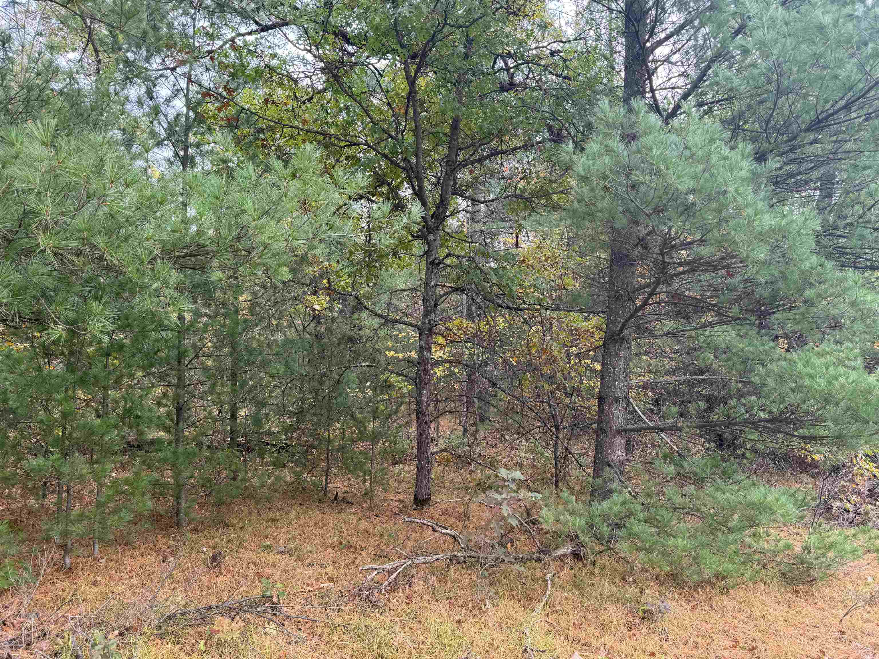 0 Rifle River Drive Prescott, MI 48756 - Photo 1 of 8