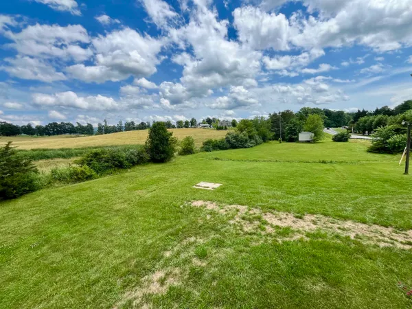 a view of a big yard with a large tree