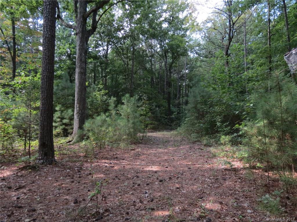 18.06-ac 18.06-ac Chambers Road, Unit 7 York, SC 29745 - Photo 18 of 20 a view of a forest with trees in the background