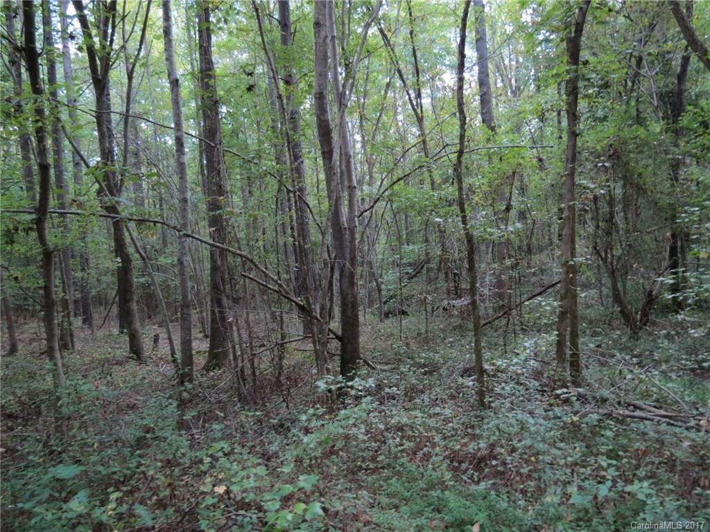 18.06-ac 18.06-ac Chambers Road, Unit 7 York, SC 29745 - Photo 3 of 20 a view of a forest with trees in the background