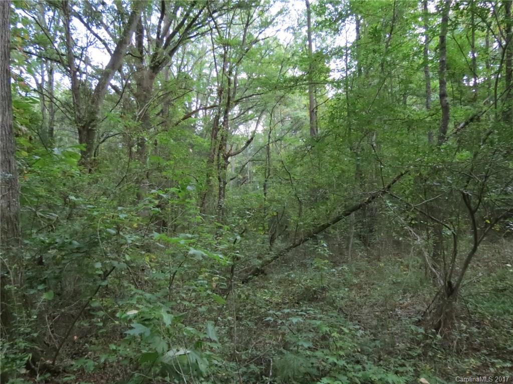 18.06-ac 18.06-ac Chambers Road, Unit 7 York, SC 29745 - Photo 4 of 20 a view of a lush green forest