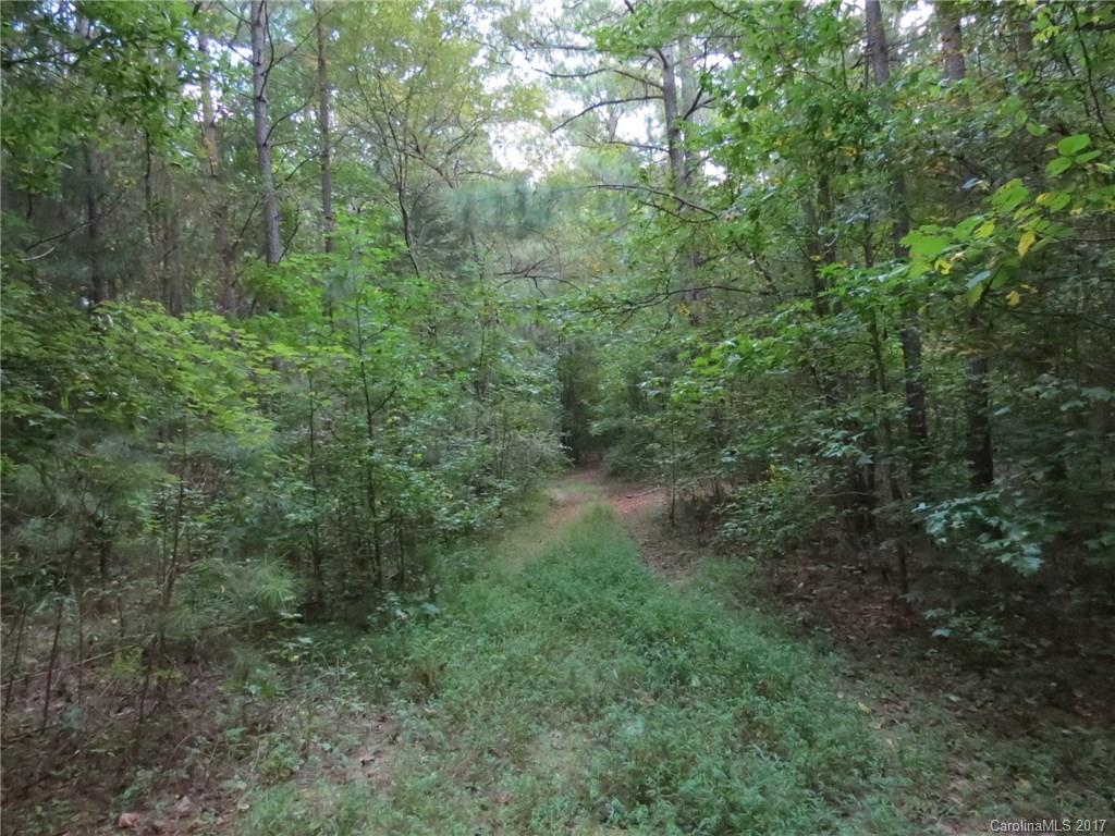 18.06-ac 18.06-ac Chambers Road, Unit 7 York, SC 29745 - Photo 5 of 20 a view of a lush green forest