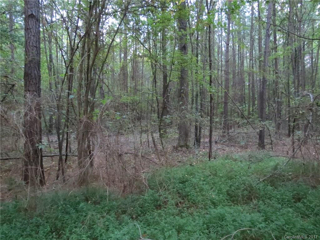 18.06-ac 18.06-ac Chambers Road, Unit 7 York, SC 29745 - Photo 6 of 20 a view of a forest with trees in the background