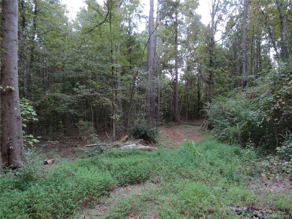 18.06-ac 18.06-ac Chambers Road, Unit 7 York, SC 29745 - Photo 7 of 20 a view of a forest that has large trees