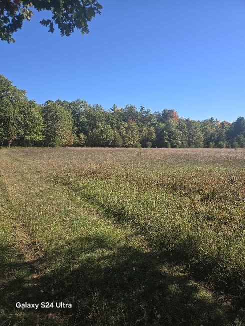 0 North 11 Mile Road Irons, MI 49644 - Photo 5 of 17 17