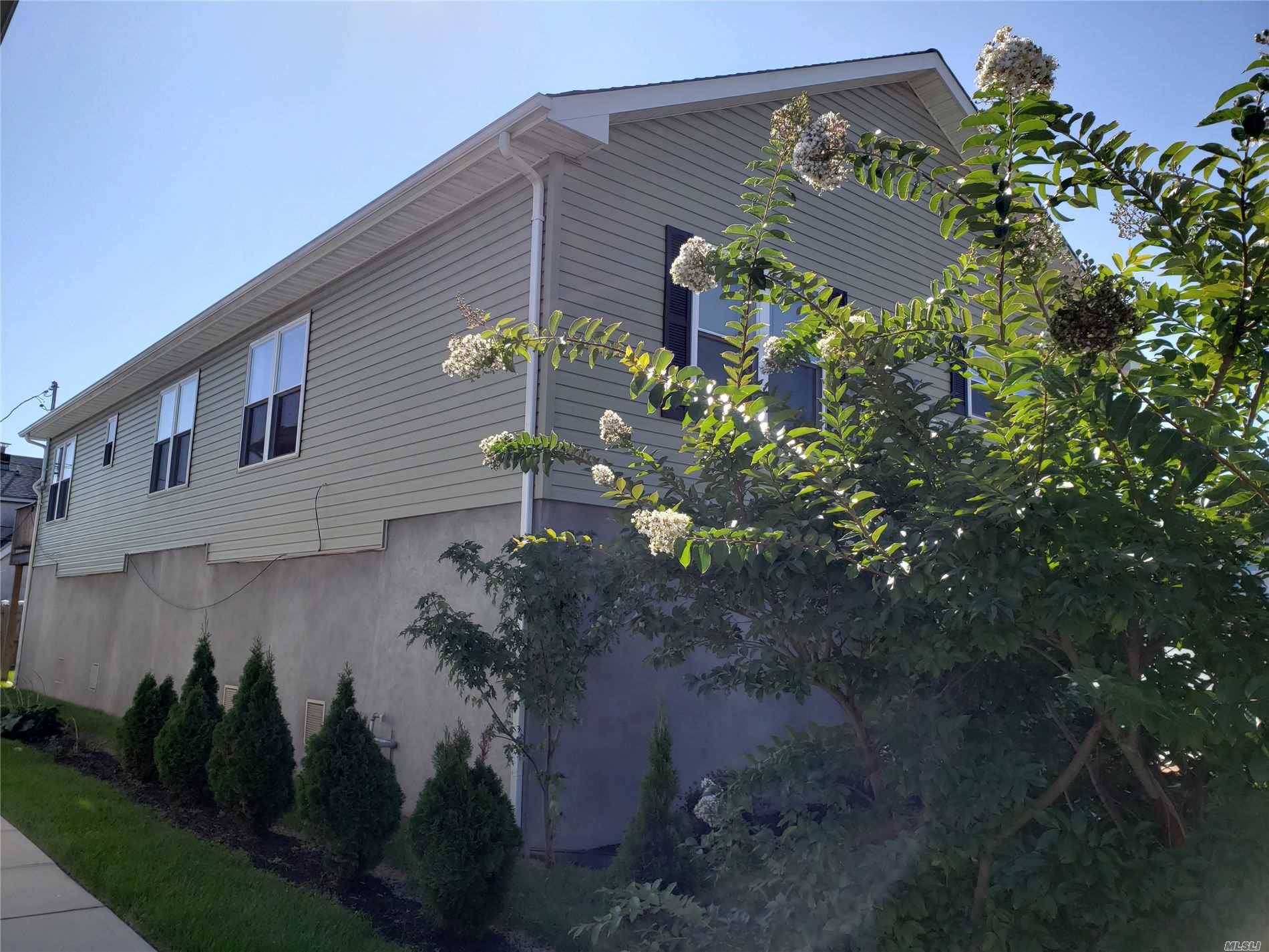 a plant that is sitting in front of a house