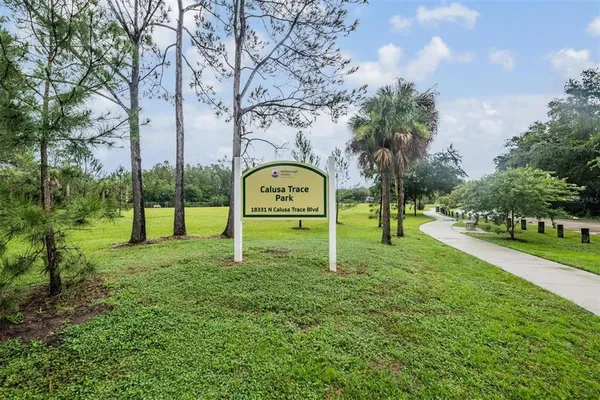 a green field with lots of tress in it