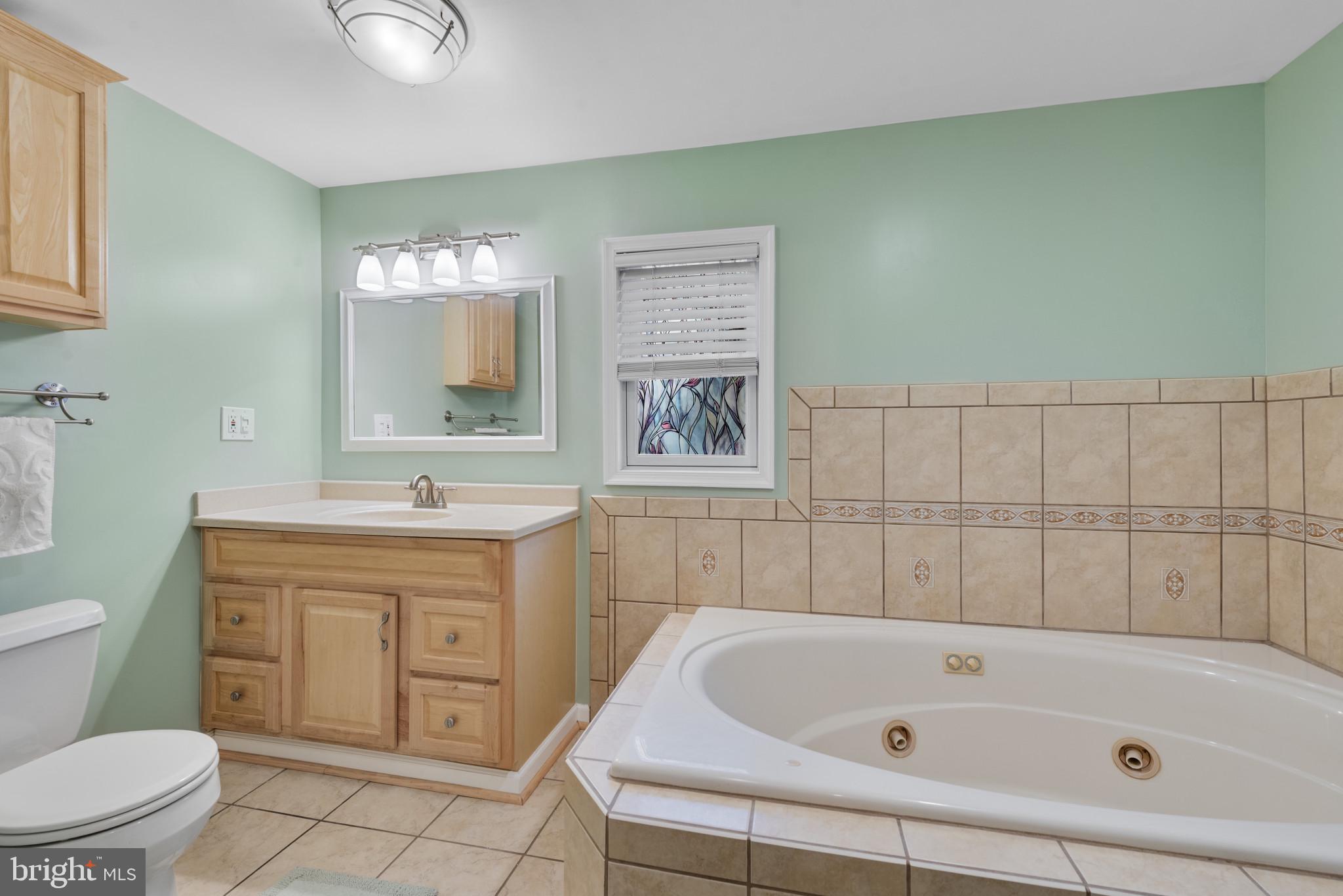 332 Poplar Road Baltimore, MD 21221 - Photo 36 of 59 a bathroom with a sink a toilet and bathtub