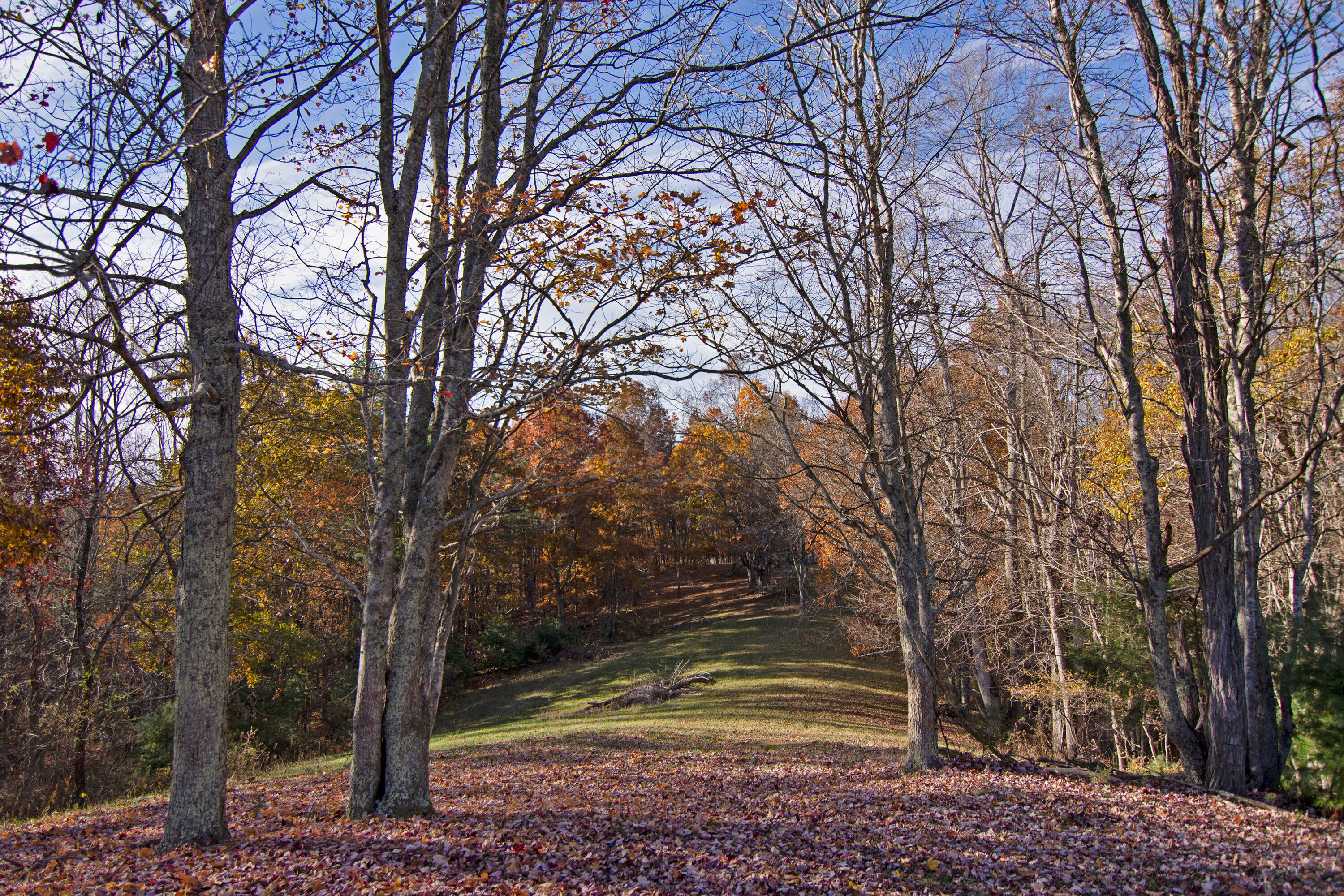1528 Low Gap Church Road Hinton, WV 25951 - Photo 27 of 52 Gallery Image 27