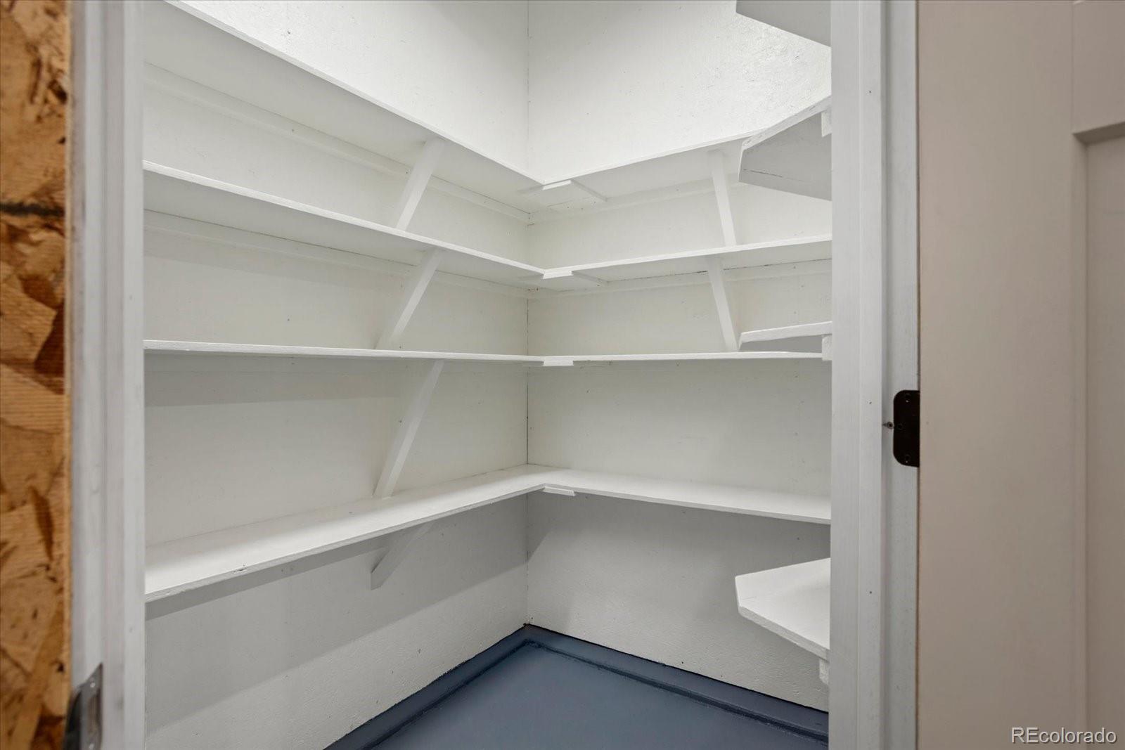 655 Quarry Station Poncha Springs, CO 81242 - Photo 25 of 41 a view of an empty walk in closet