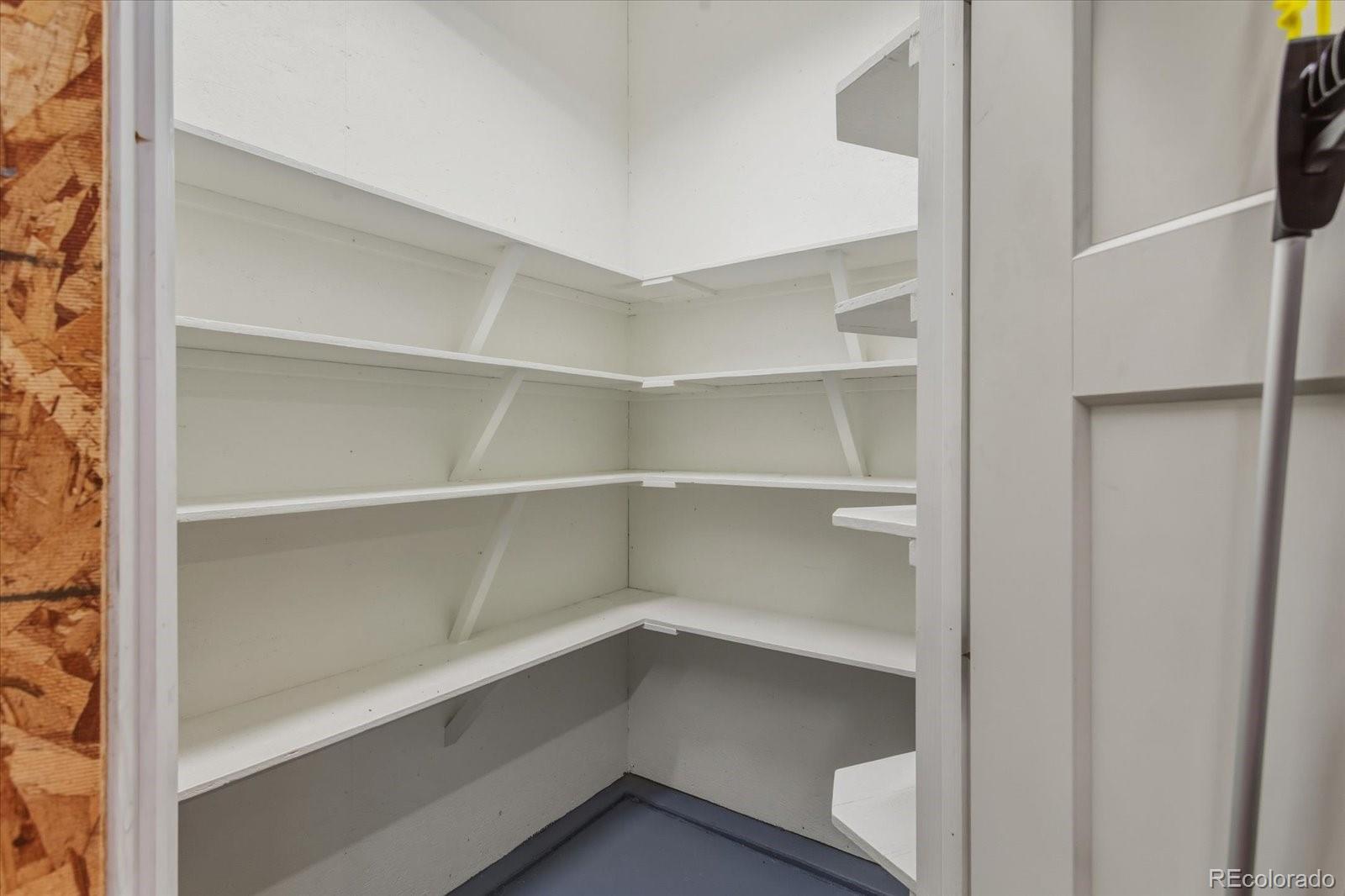 655 Quarry Station Poncha Springs, CO 81242 - Photo 26 of 42 a view of walk in closet with empty racks