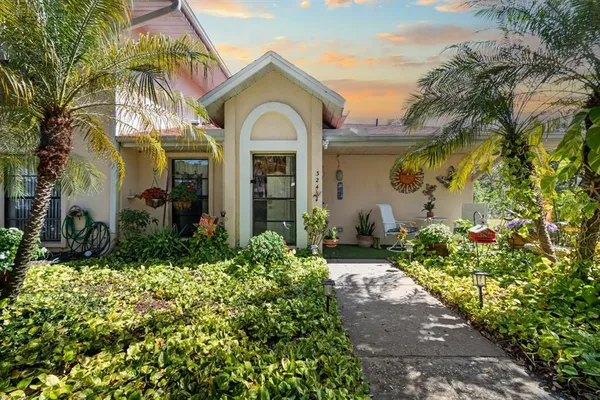 a view of a flower in a garden