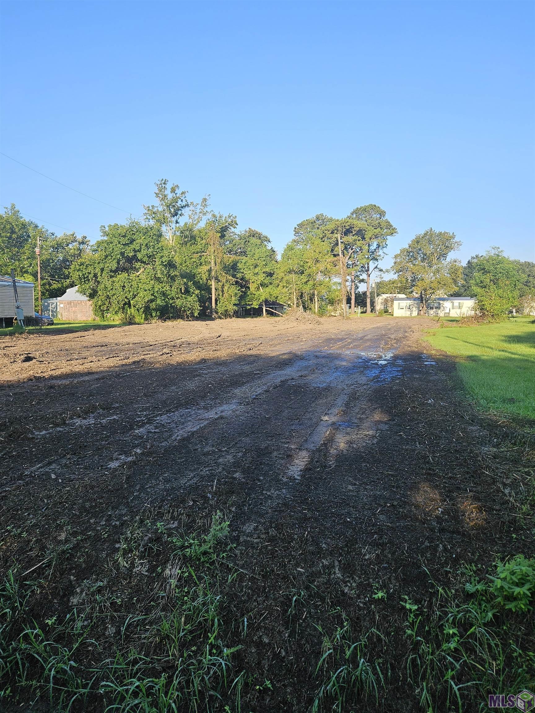 10495 Savoy Road St. Amant, LA 70774 - Photo 3 of 7
