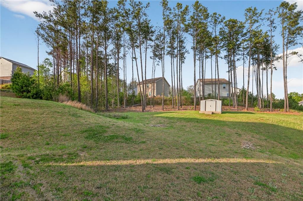 1003 Nandina Court Villa Rica, GA 30180 - Photo 23 of 43 a view of a park with a large tree