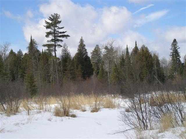 4290 County Road Two Harbors, MN 55616 - Photo 1 of 4 Gallery Image 1