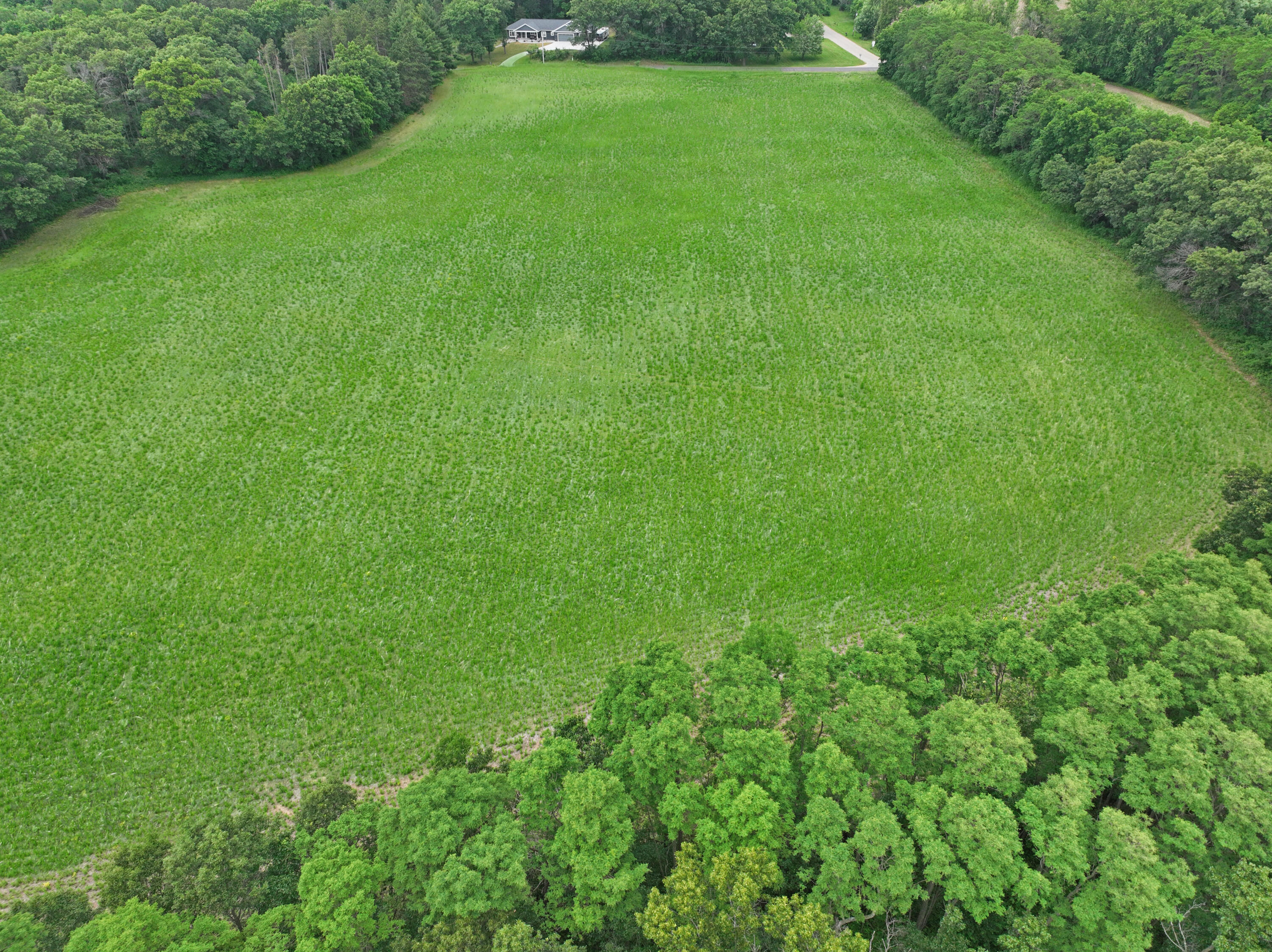 W4961 Cemetery Road Lemonweir, WI 53948 - Photo 8 of 12 DJI_20260610095646_0086_V (2)