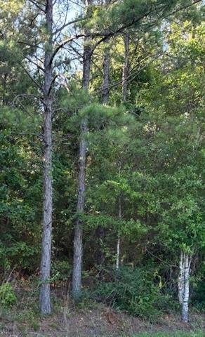 211 Wainwright Road Pineville, LA 71360 - Photo 2 of 2