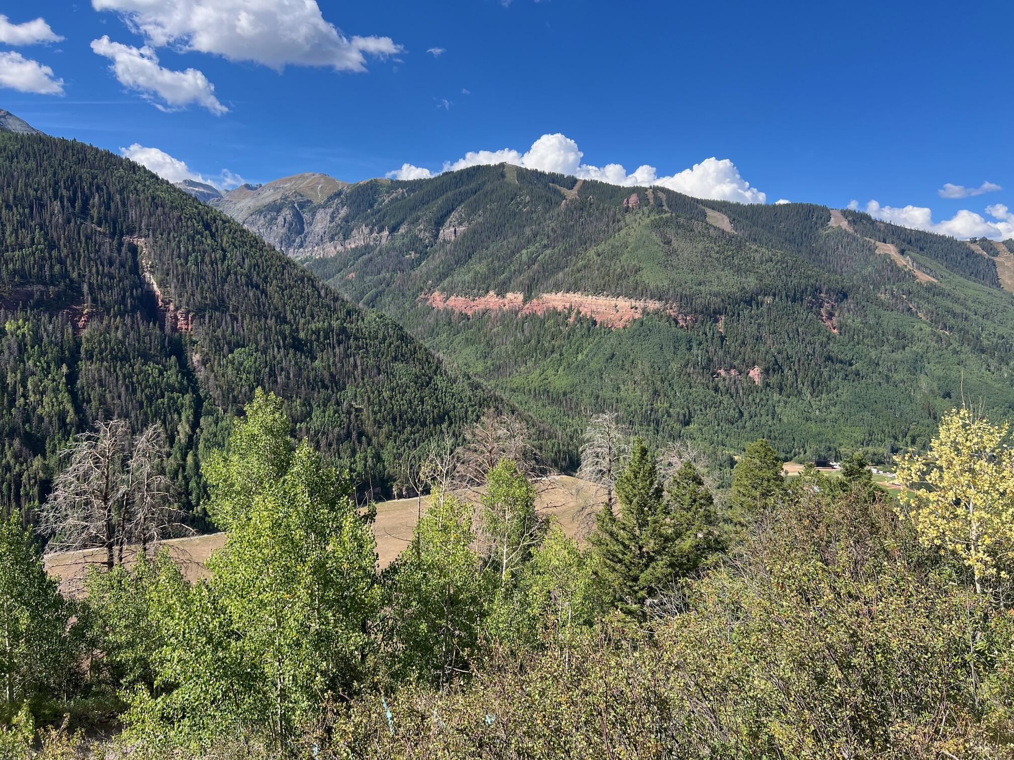 13885 Tomboy Road Telluride, CO 81435 - Photo 1 of 29 a view of a lot of trees and mountains