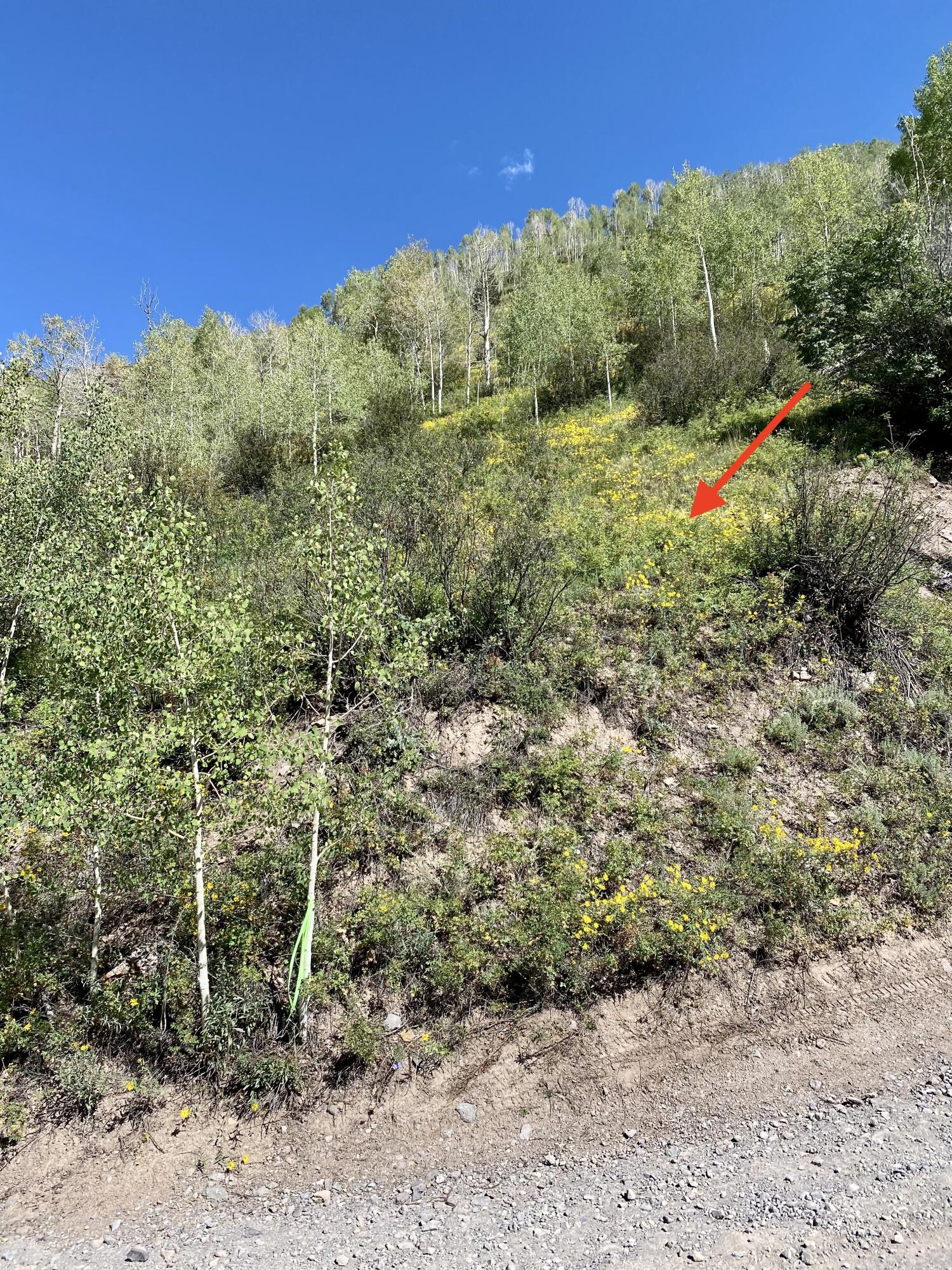 13885 Tomboy Road Telluride, CO 81435 - Photo 11 of 29 a backyard of a house with lots of green space