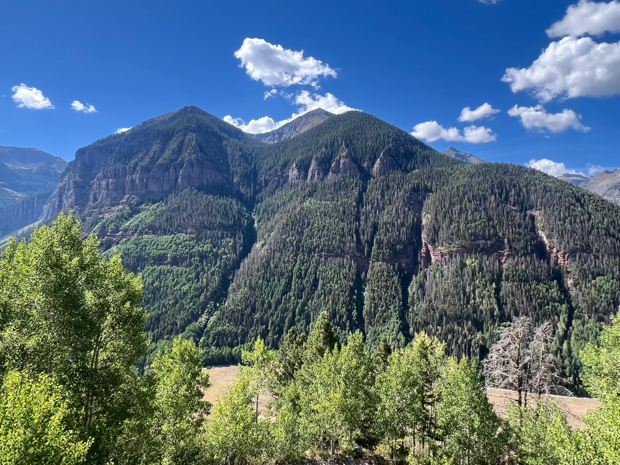 13885 Tomboy Road Telluride, CO 81435 - Photo 13 of 29 a view of a house with a street
