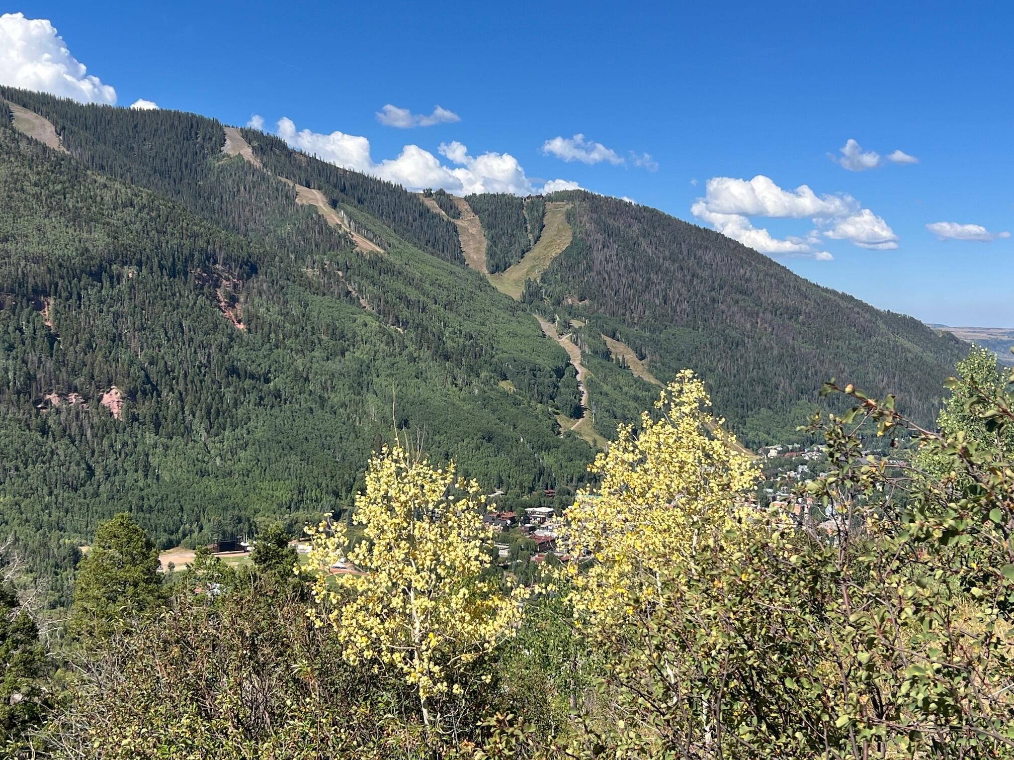 13885 Tomboy Road Telluride, CO 81435 - Photo 14 of 29 a view of a street