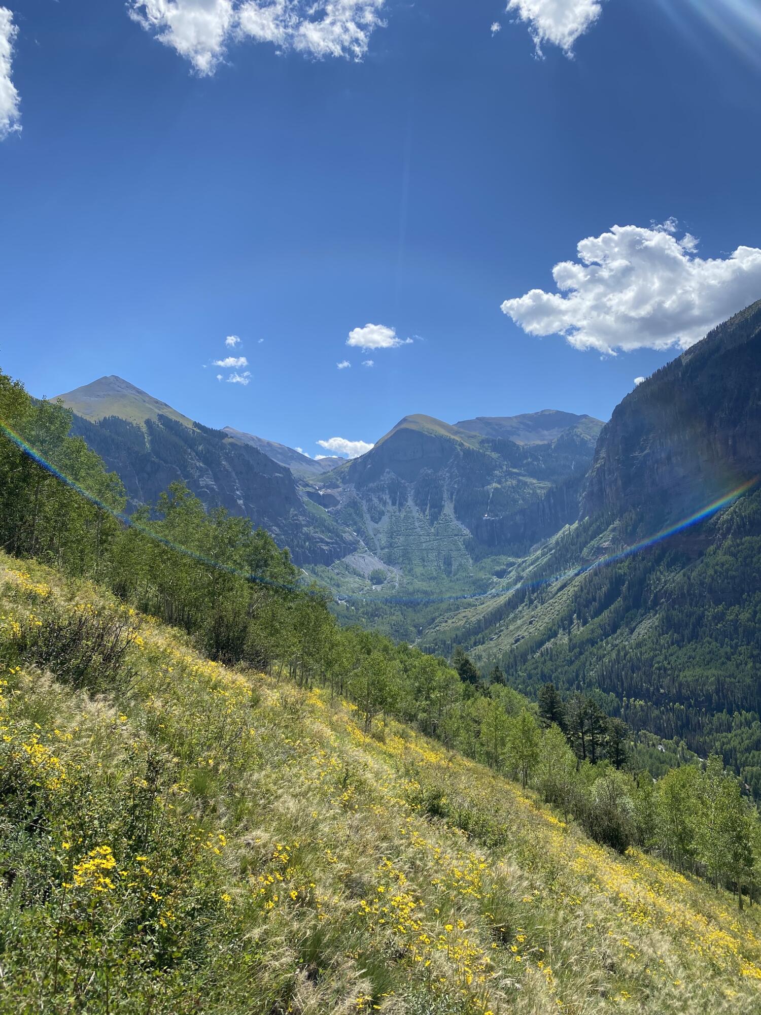 13885 Tomboy Road Telluride, CO 81435 - Photo 18 of 29 a view of a big yard with a large tree