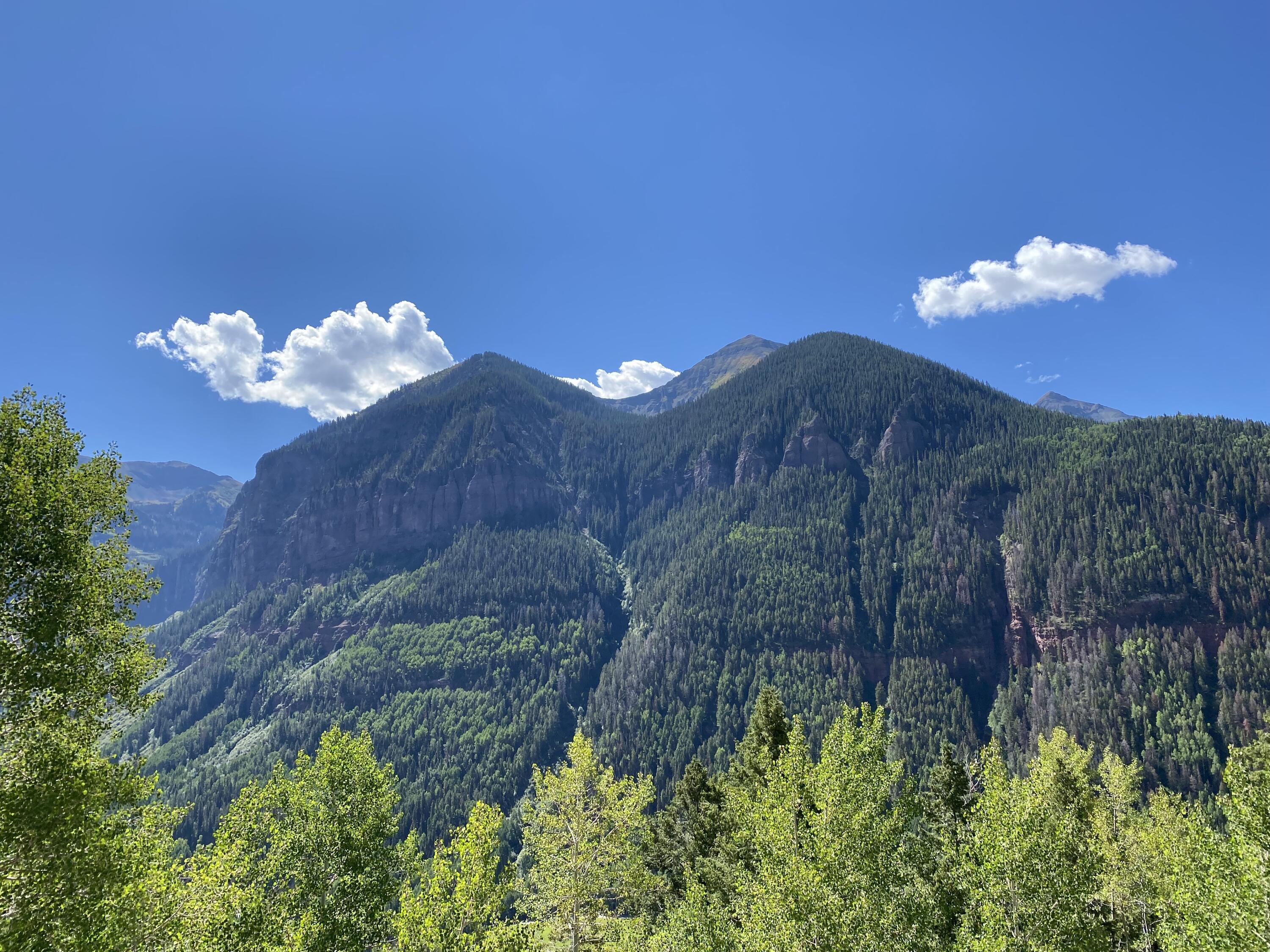 13885 Tomboy Road Telluride, CO 81435 - Photo 20 of 29 a view of a house with a yard and a large tree