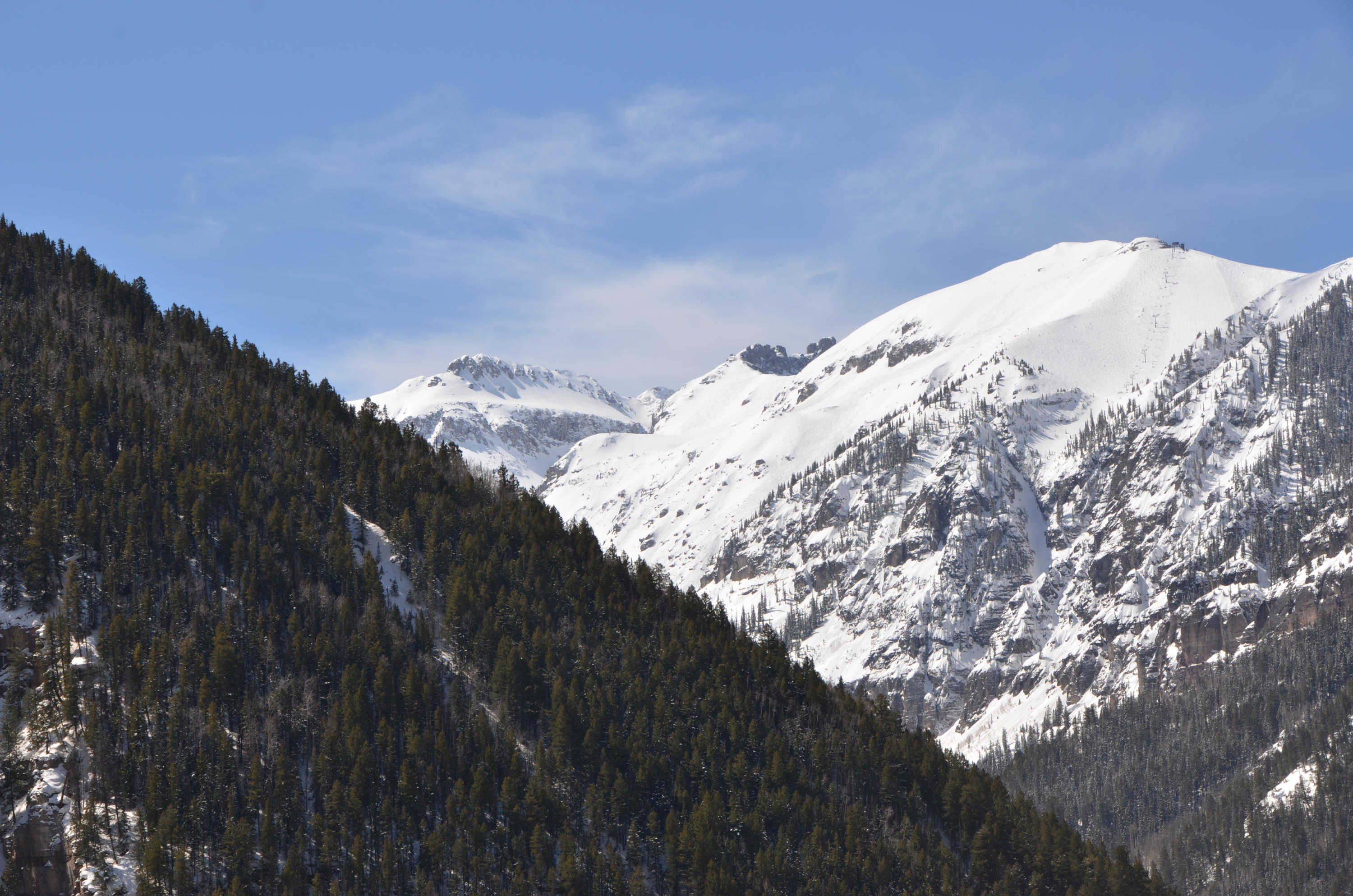 13885 Tomboy Road Telluride, CO 81435 - Photo 26 of 29 a view of a large tree