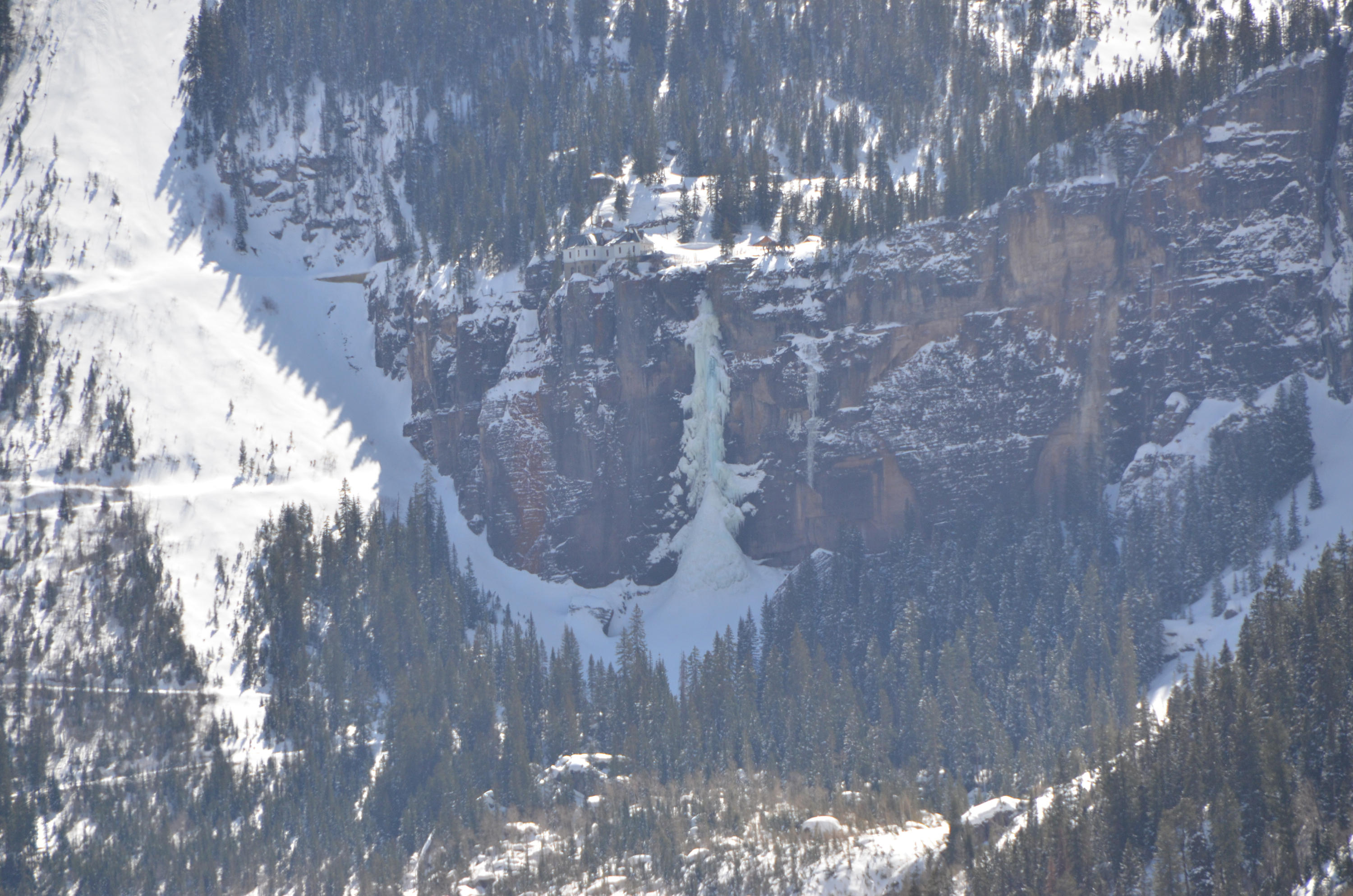 13885 Tomboy Road Telluride, CO 81435 - Photo 27 of 29 a closeup of a tree