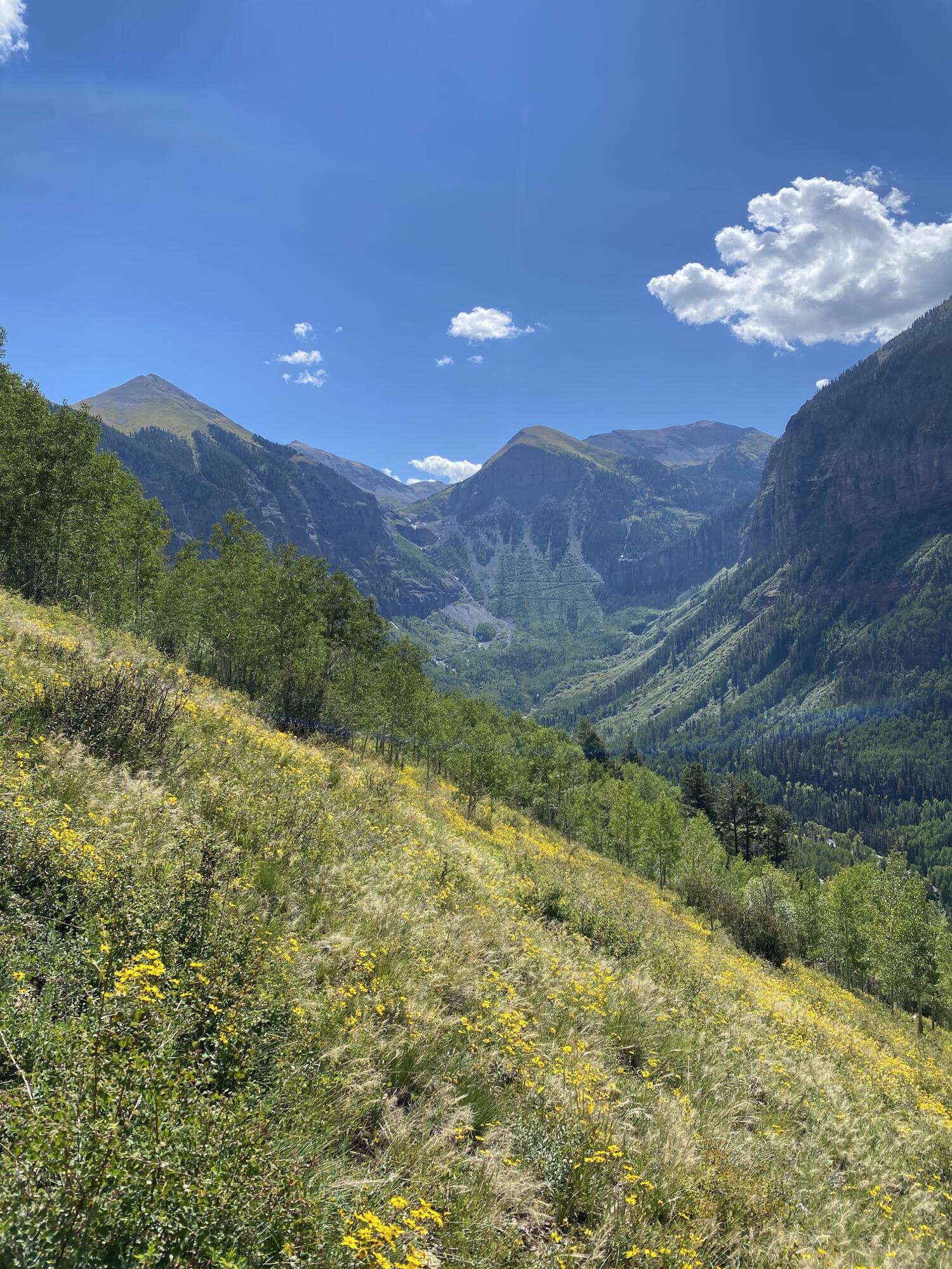 13885 Tomboy Road Telluride, CO 81435 - Photo 3 of 29 a view of a city with a mountain