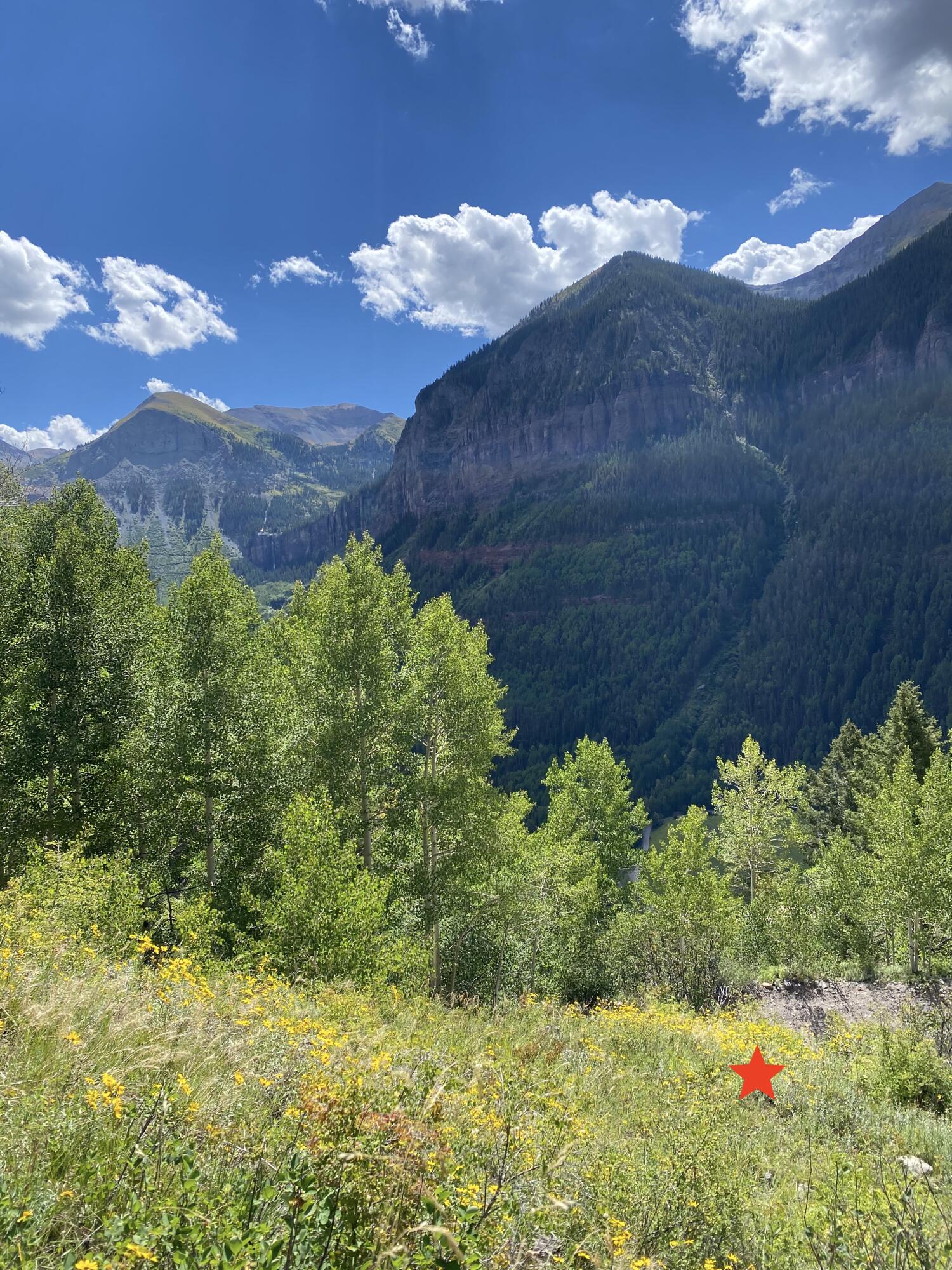 13885 Tomboy Road Telluride, CO 81435 - Photo 10 of 29 a view of a bunch of flowers in a garden